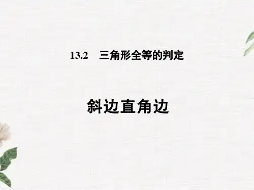 13.斜边直角边PPT课件(华师大版)