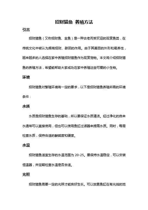 招财猫鱼 养殖方法