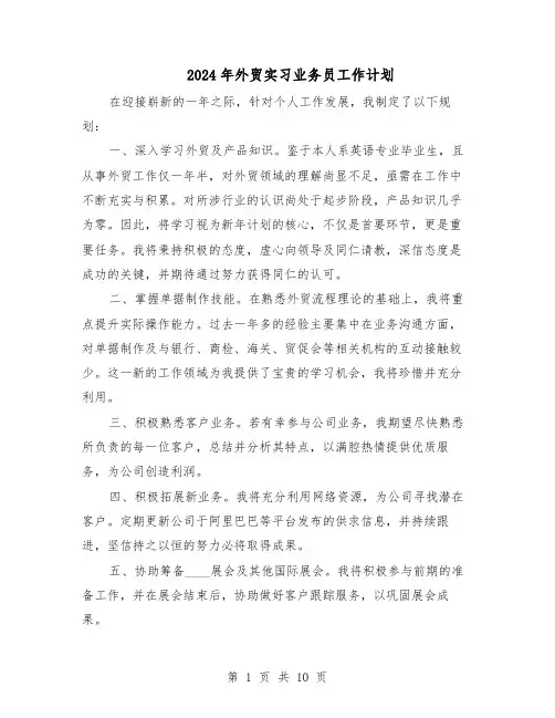 2024年外贸实习业务员工作计划（五篇）