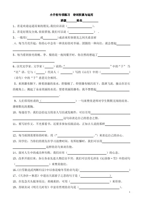 (部编小升初语文)专项练习  诗词积累与运用(附答案)