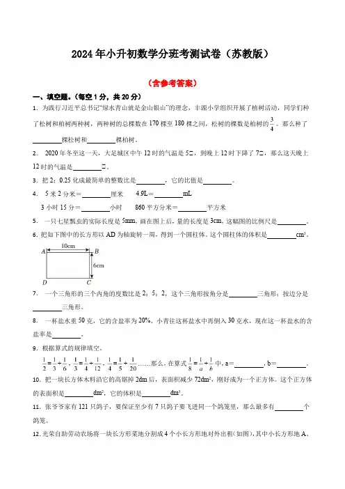 2024年苏教版小升初数学分班考测试卷(含参考答案)