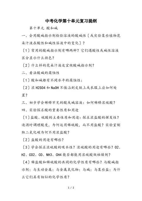 中考化学第十单元复习提纲