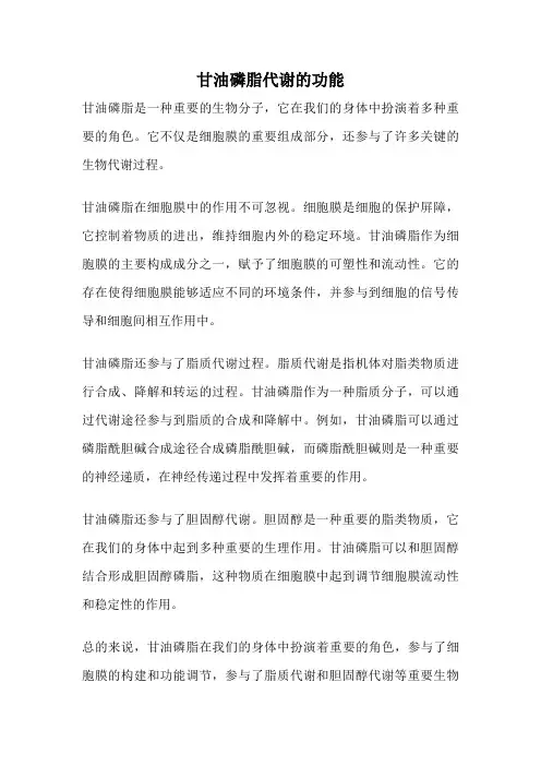 甘油磷脂代谢的功能