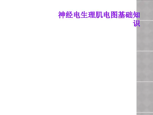 神经电生理肌电图基础知识