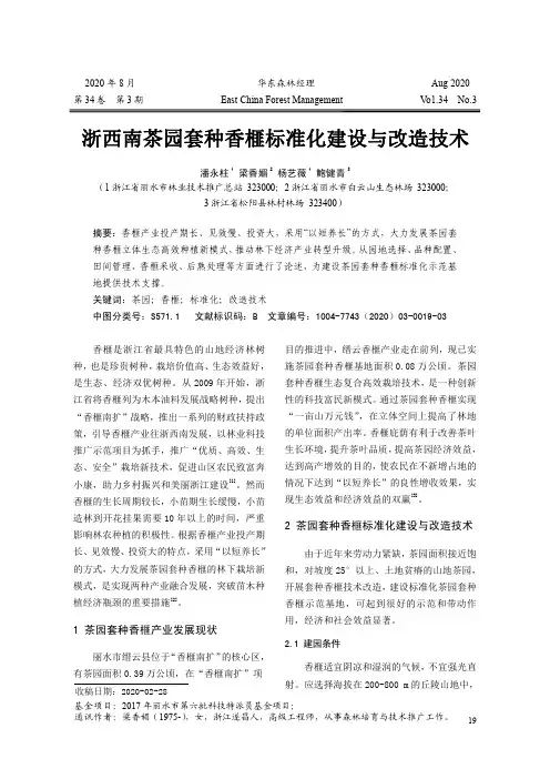 浙西南茶园套种香榧标准化建设与改造技术