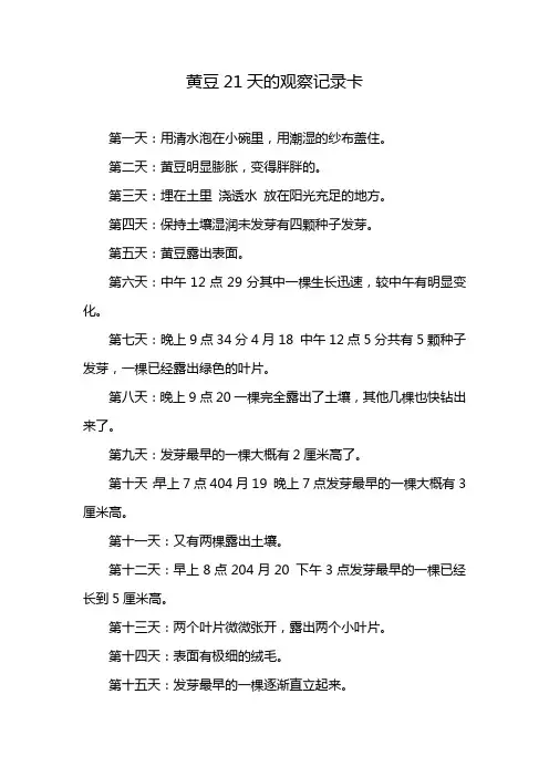 黄豆21天的观察记录卡