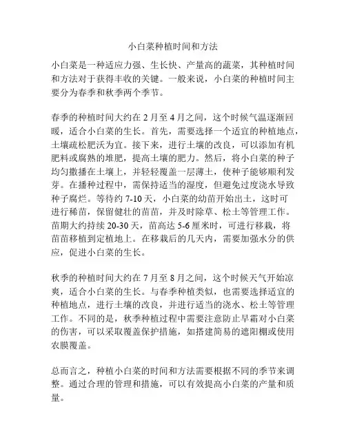 小白菜种植时间和方法