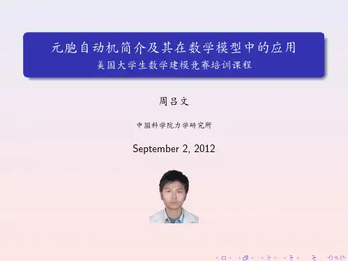 元胞自动机(周吕文)