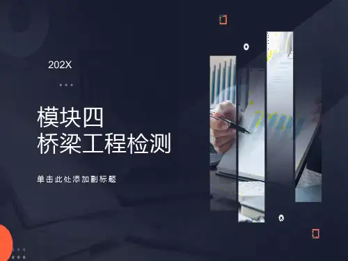 《公路工程检测技术》桥梁工程基础检测(184P)