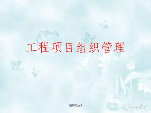 《项目管理组织管理》PPT课件