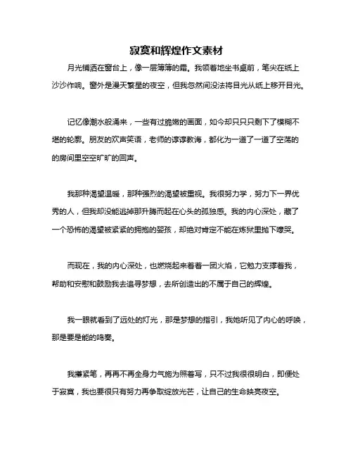 寂寞和辉煌作文素材