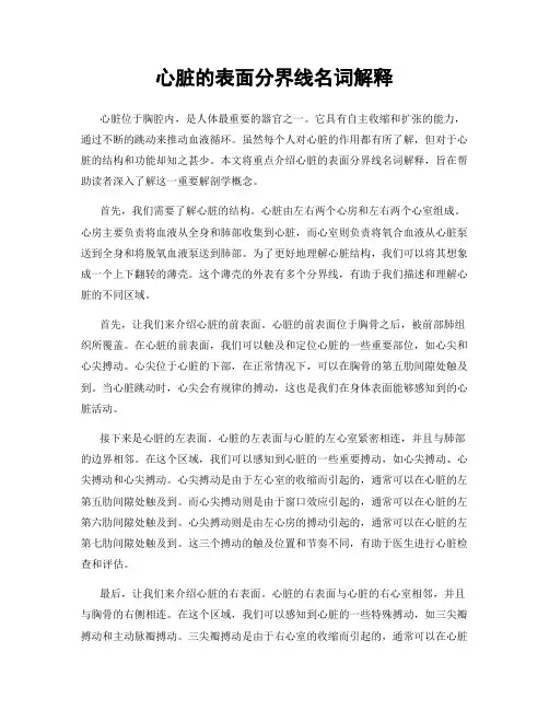 心脏的表面分界线名词解释