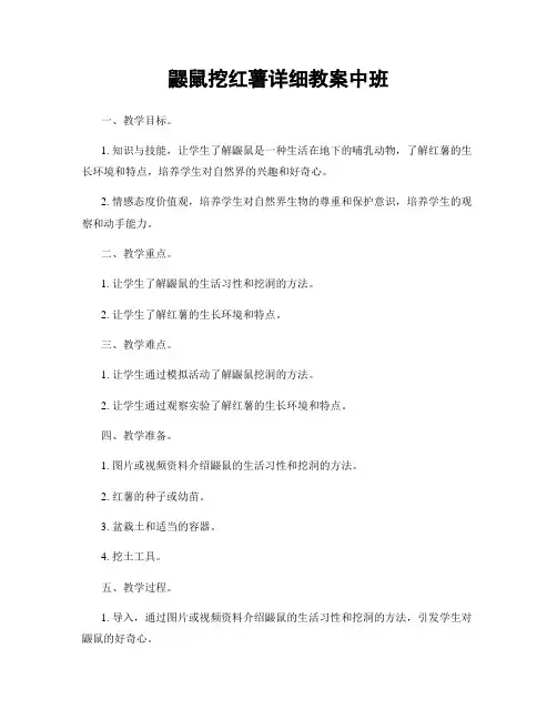 鼹鼠挖红薯详细教案中班