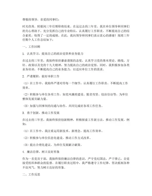 三年任期个人工作总结