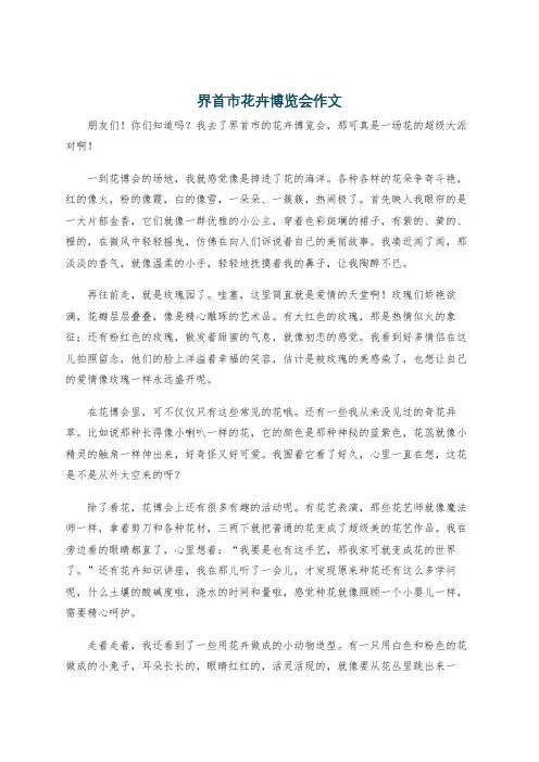 界首市花卉博览会作文