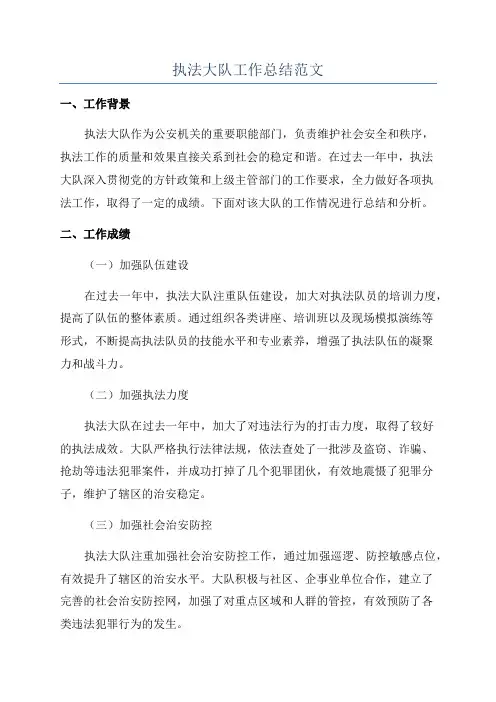 执法大队工作总结范文