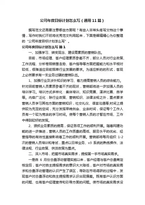 公司年度目标计划怎么写（通用11篇）