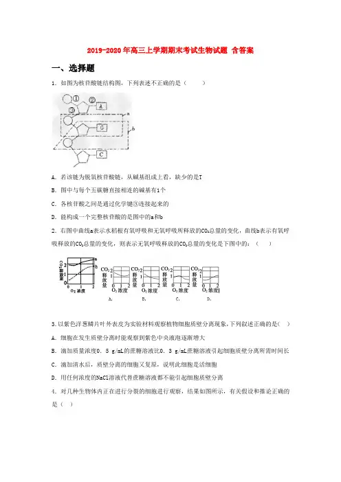 2019-2020年高三上学期期末考试生物试题 含答案