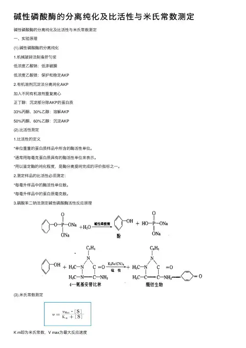 碱性磷酸酶的分离纯化及比活性与米氏常数测定