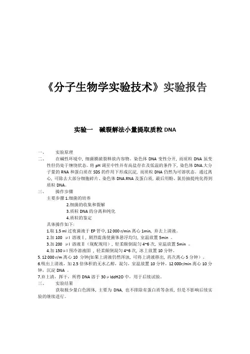 分子生物学实验技术