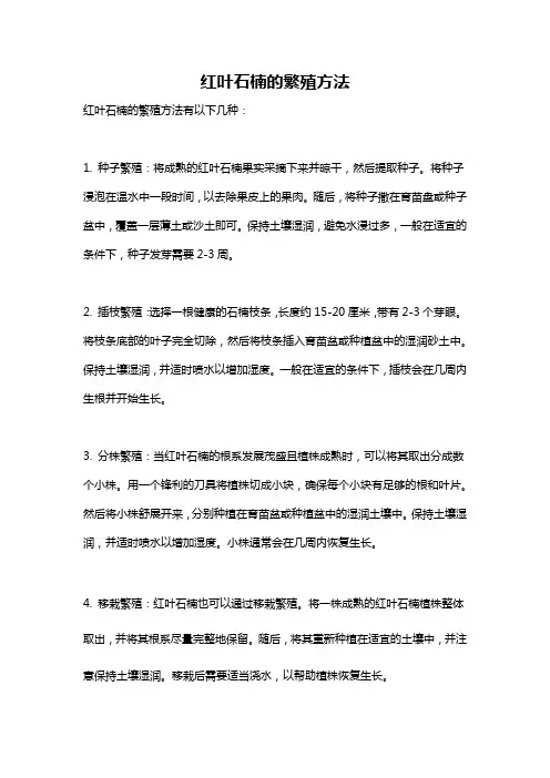 红叶石楠的繁殖方法