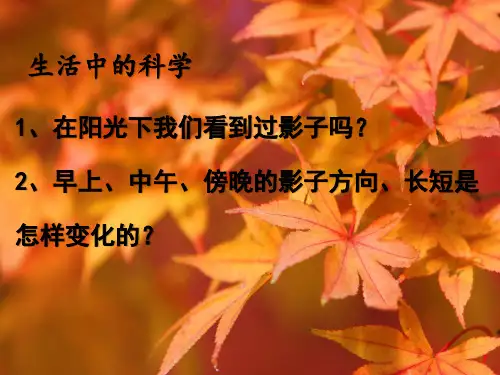 阳光下的影子的变化ppt课件.ppt