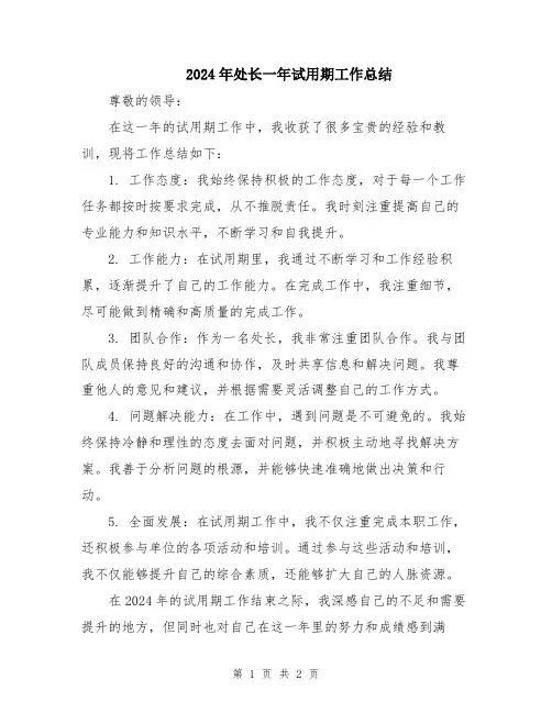 2024年处长一年试用期工作总结