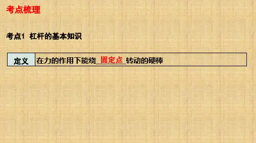 中考物理复习课件：杠杆