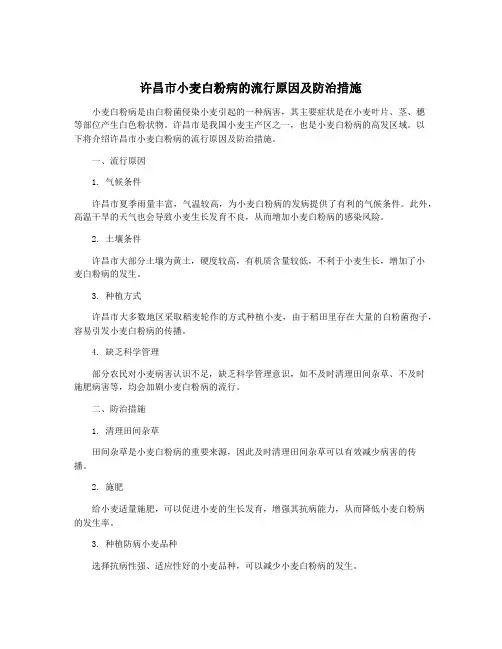 许昌市小麦白粉病的流行原因及防治措施