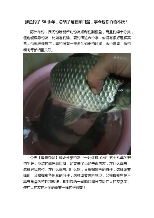 鲫鱼钓了58余年，总结了这套顺口溜，学会包你百钓不厌！