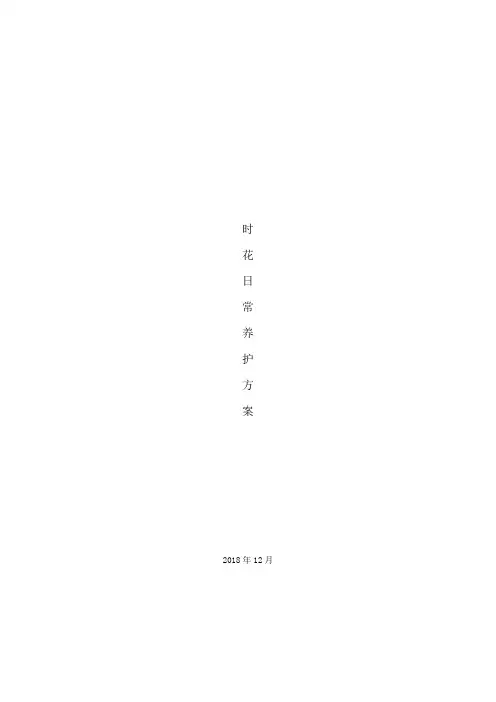 时花日常养护方案