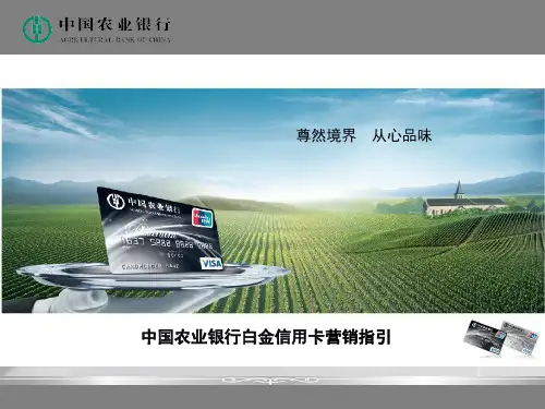 中国农业银行白金信用卡营销-PPT课件