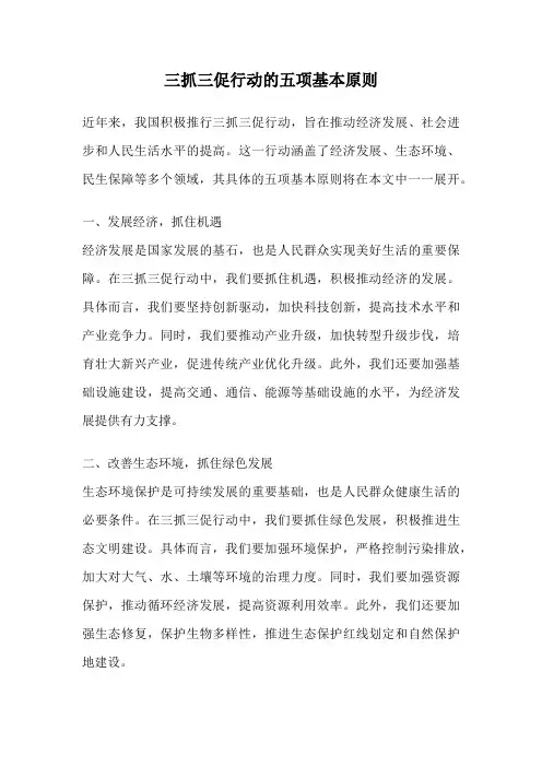 三抓三促行动的五项基本原则