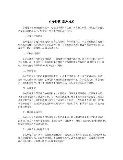 小麦种植 高产技术