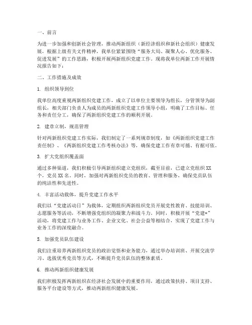 两新工作开展情况报告