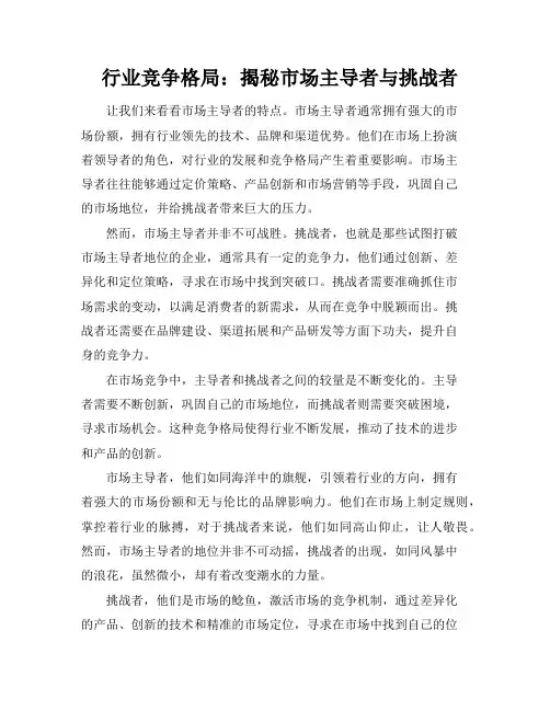 行业竞争格局：揭秘市场主导者与挑战者