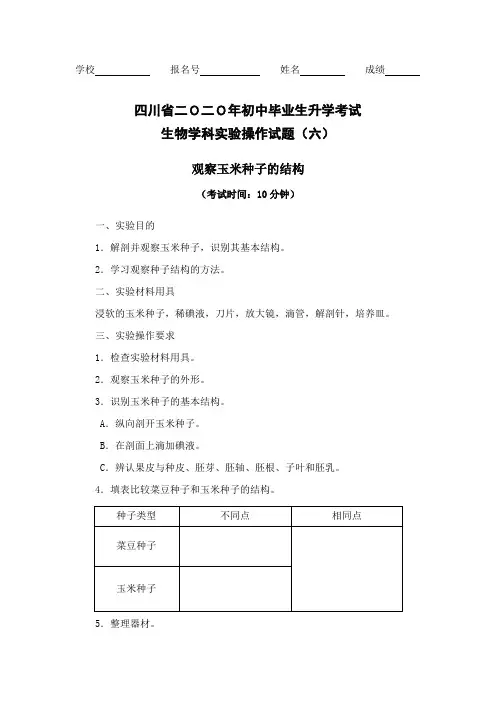 6.观察玉米种子的结构