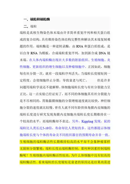 端粒和端粒酶1