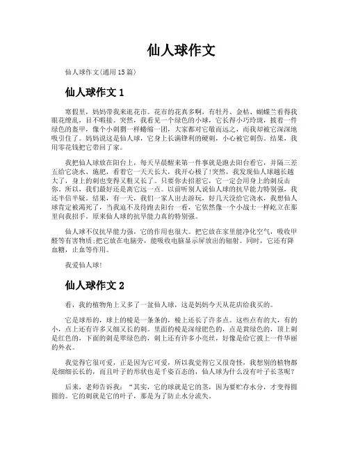 仙人球作文