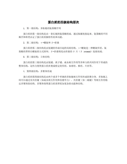 蛋白质的四级结构层次