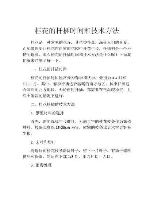 桂花的扦插时间和技术方法