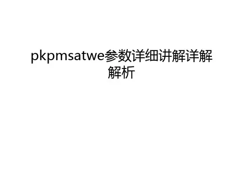 pkpmsatwe参数详细讲解详解解析知识讲解
