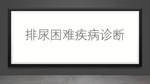 排尿困难疾病诊断