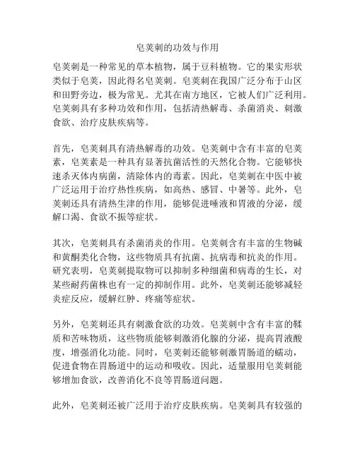 皂荚刺的功效与作用