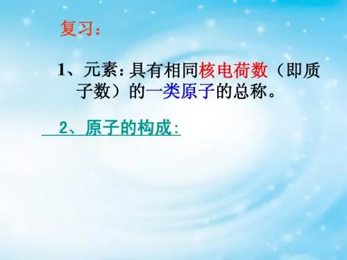 核素