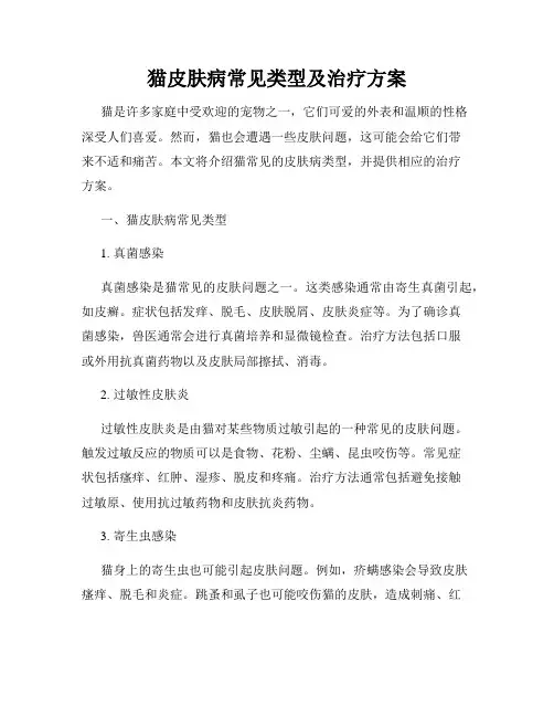 猫皮肤病常见类型及治疗方案