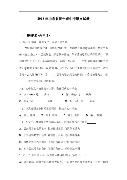 山东省济宁市历年中考语文试题(Word版,含解析)