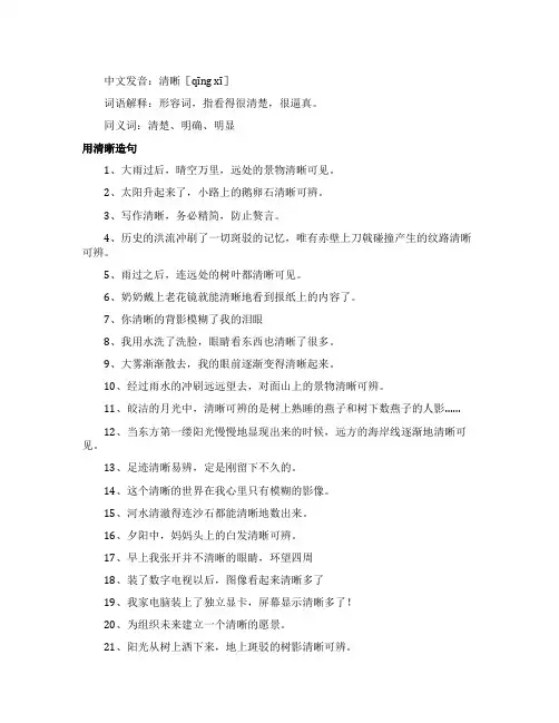 清晰的同义词有哪些