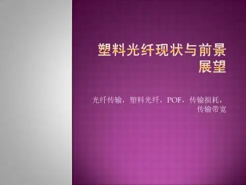 塑料光纤