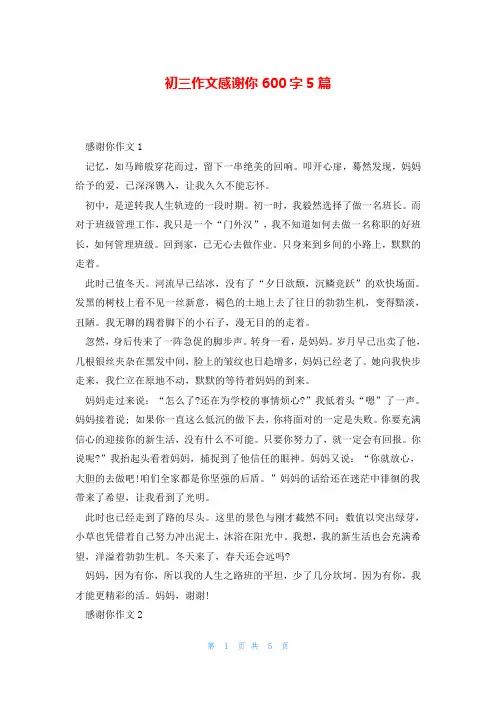 初三作文感谢你600字5篇